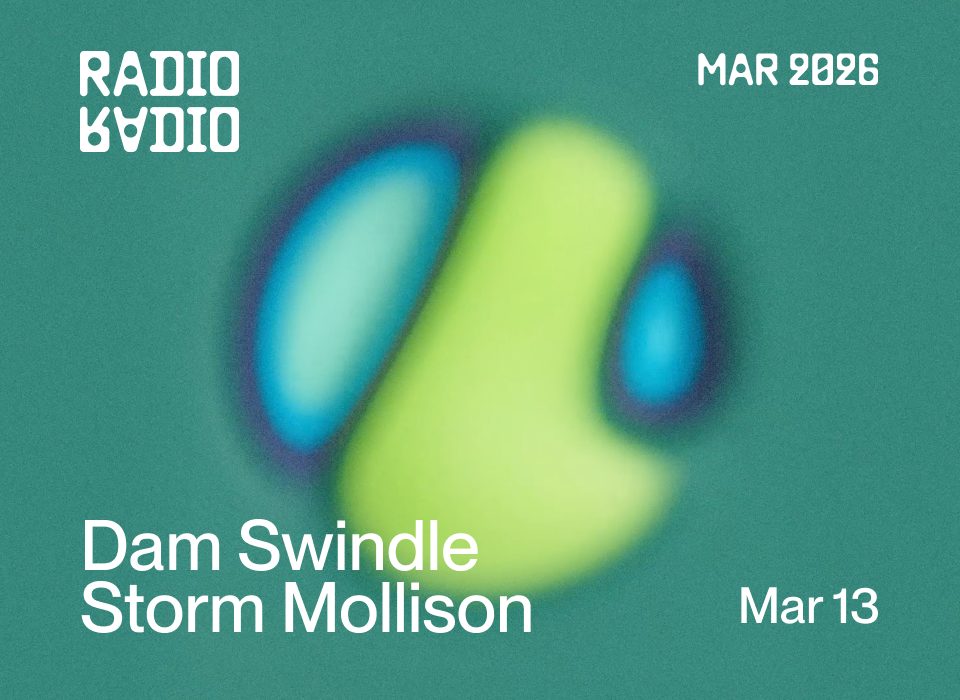 Dam swindle • Storm Mollison