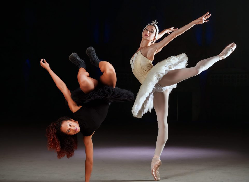 Swan Lake Remixed for ADE