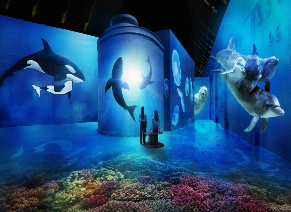 New temporary immersive exhibition ‘De Zee, Dive into the Magical Depths’