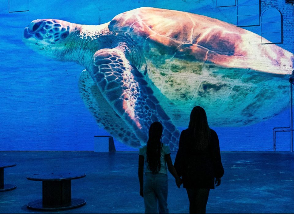 The Holland Times: “The Sea: dive into the magical deep | Fabrique des Lumières”